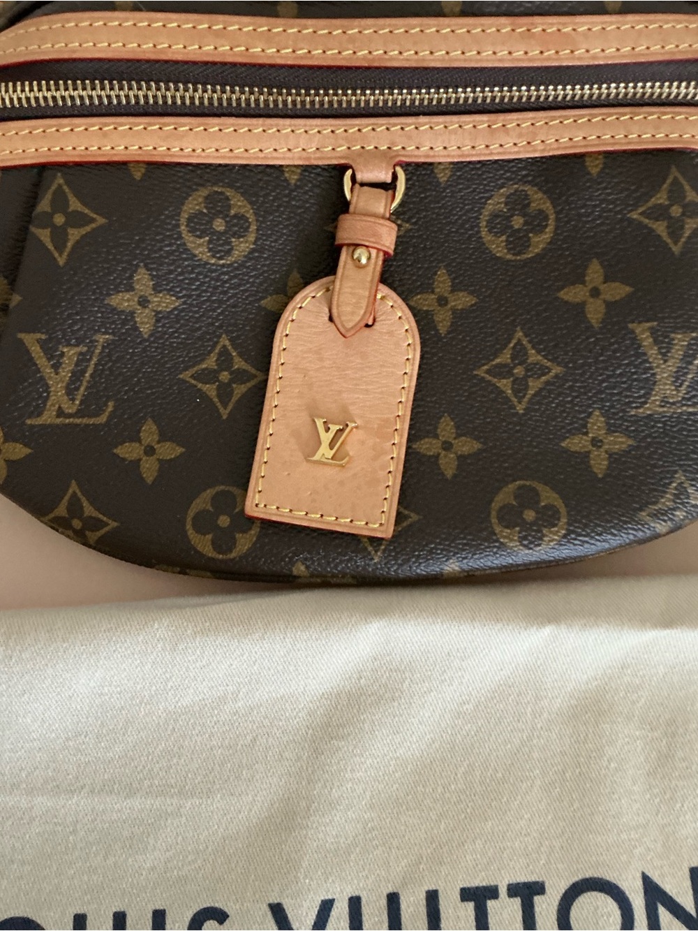 Louis Vuitton High Rise Bumbag - Picture 6 of 16